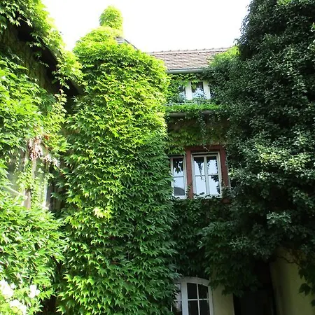 Hotel Burg-Stuben-2